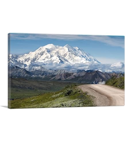 Amazon.com: McGaw Graphics Art Print: Mt. McKinley Range